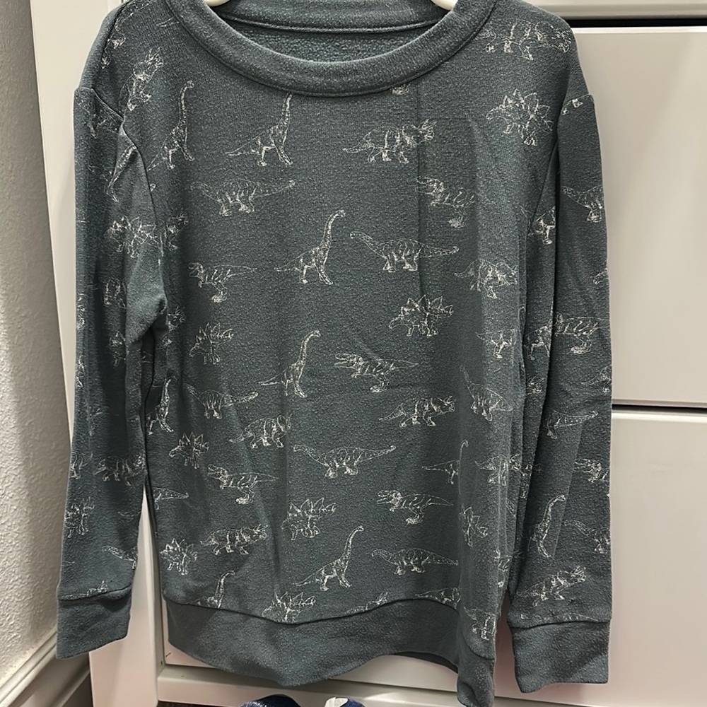 Gray Dinosaur Print Sweatshirt